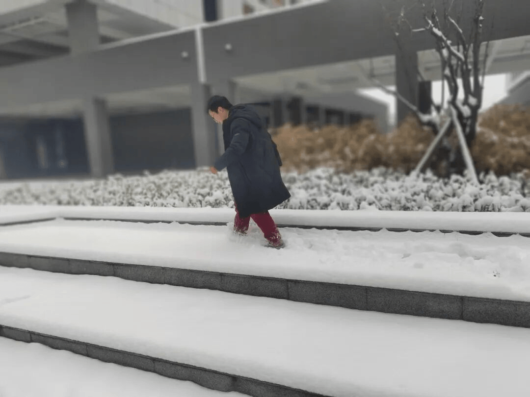 今年雪照哪年影