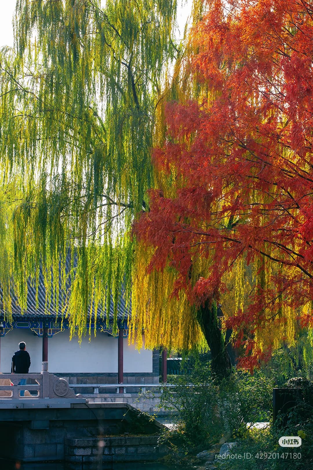 大明湖