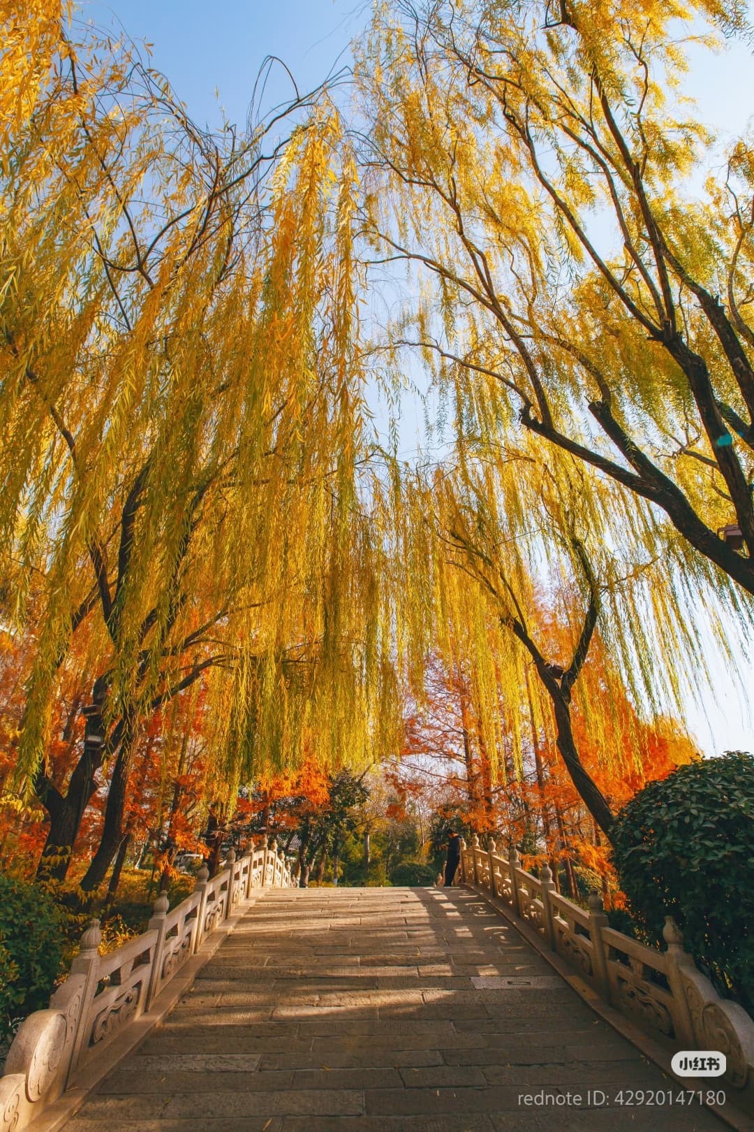 大明湖