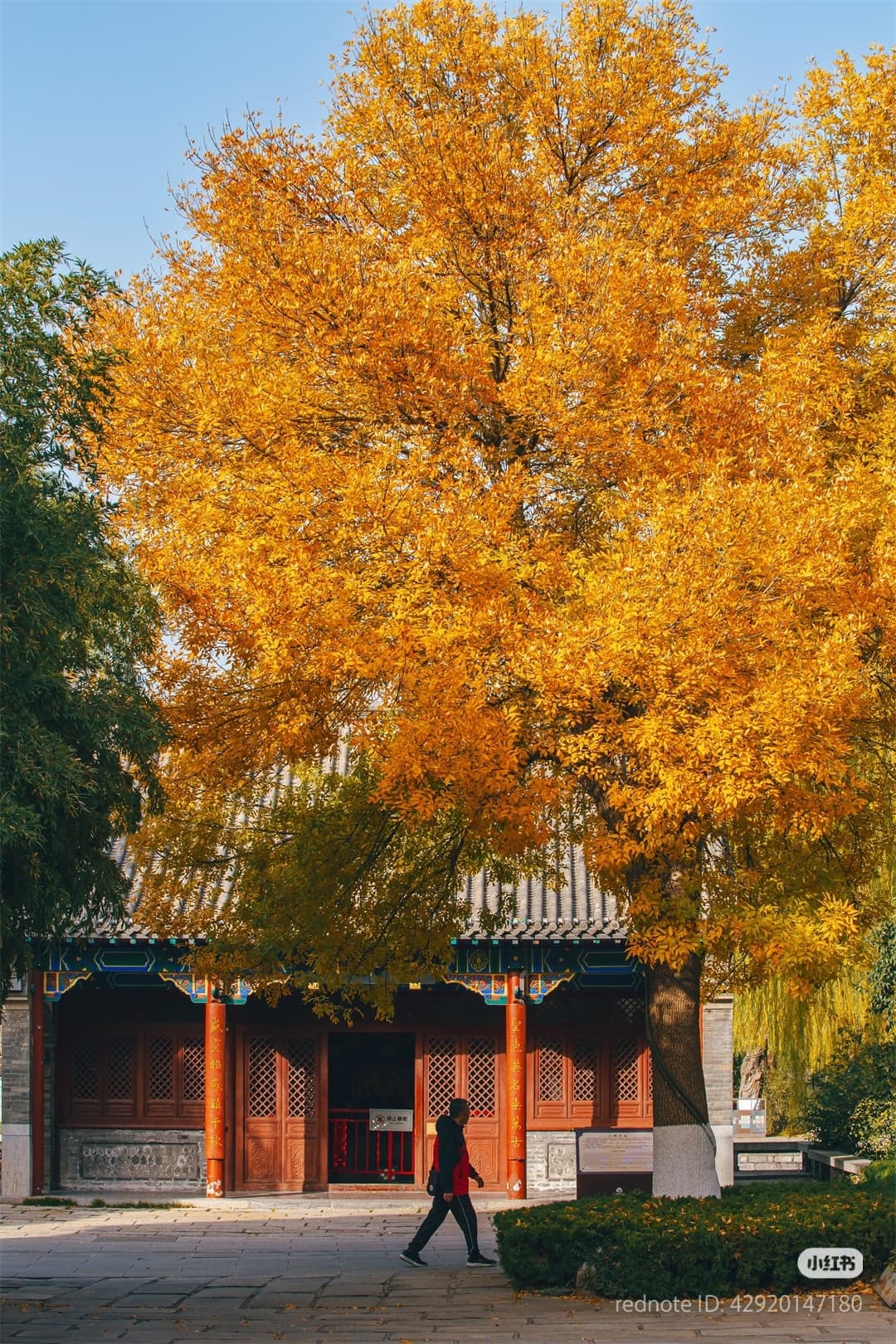 大明湖