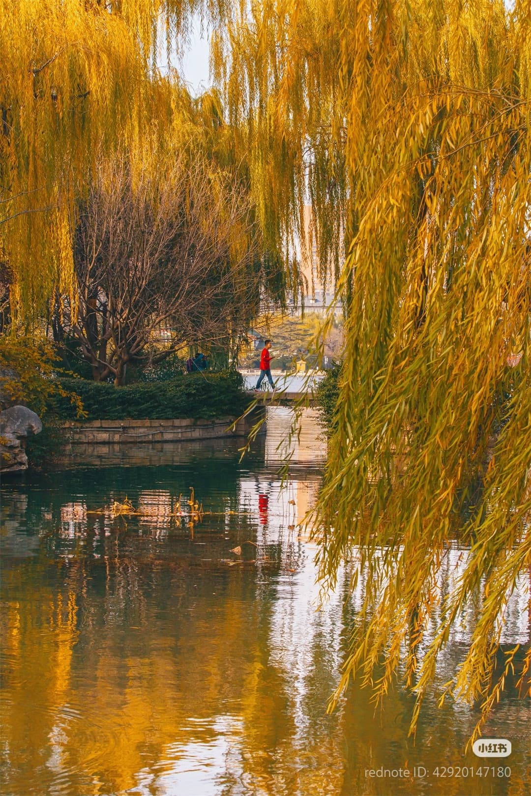 大明湖