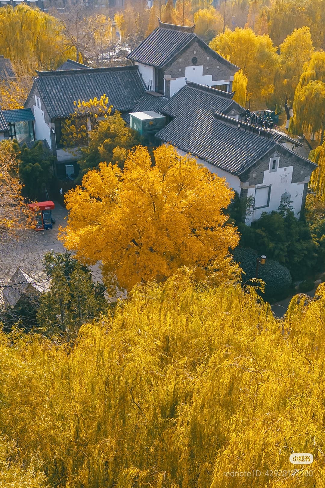 大明湖